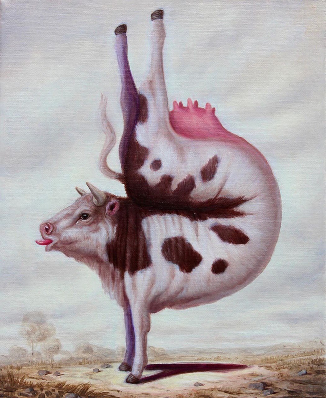 1050x1280, 258 Kb / Корова, язык