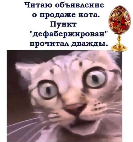 564x600, 45 Kb / кот, фаберже, яйца