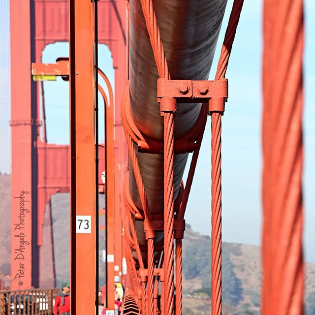 640x640, 71 Kb / мост, вантовый мост, трос, стальной, золотые ворота