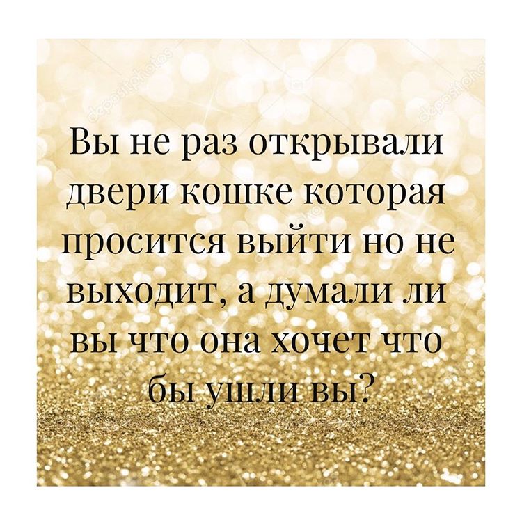 750x750, 115 Kb / кошка, двери, ушли, думали