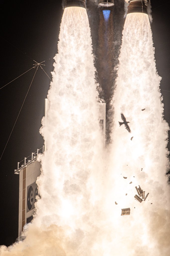 683x1024, 88 Kb / старт, пуск, ракета, пламя, птица, птичку жалко