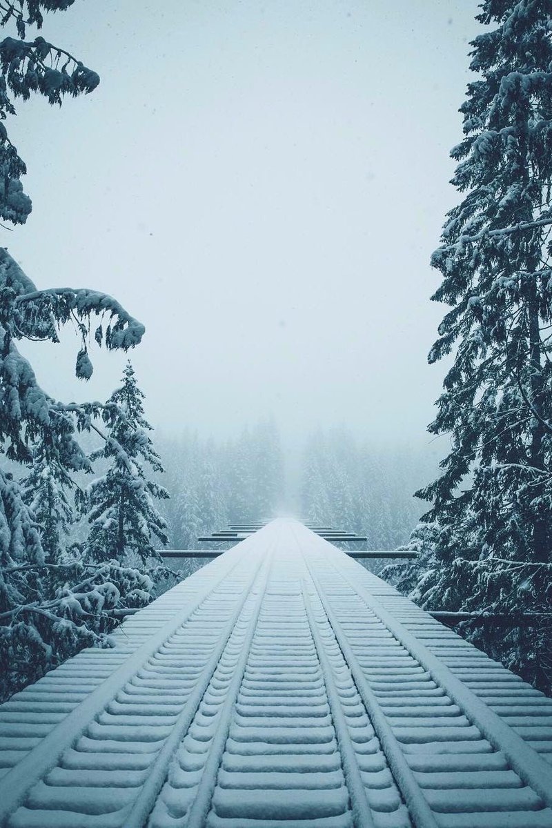 800x1200, 194 Kb / мост, снег, лес, рельсы, дорога