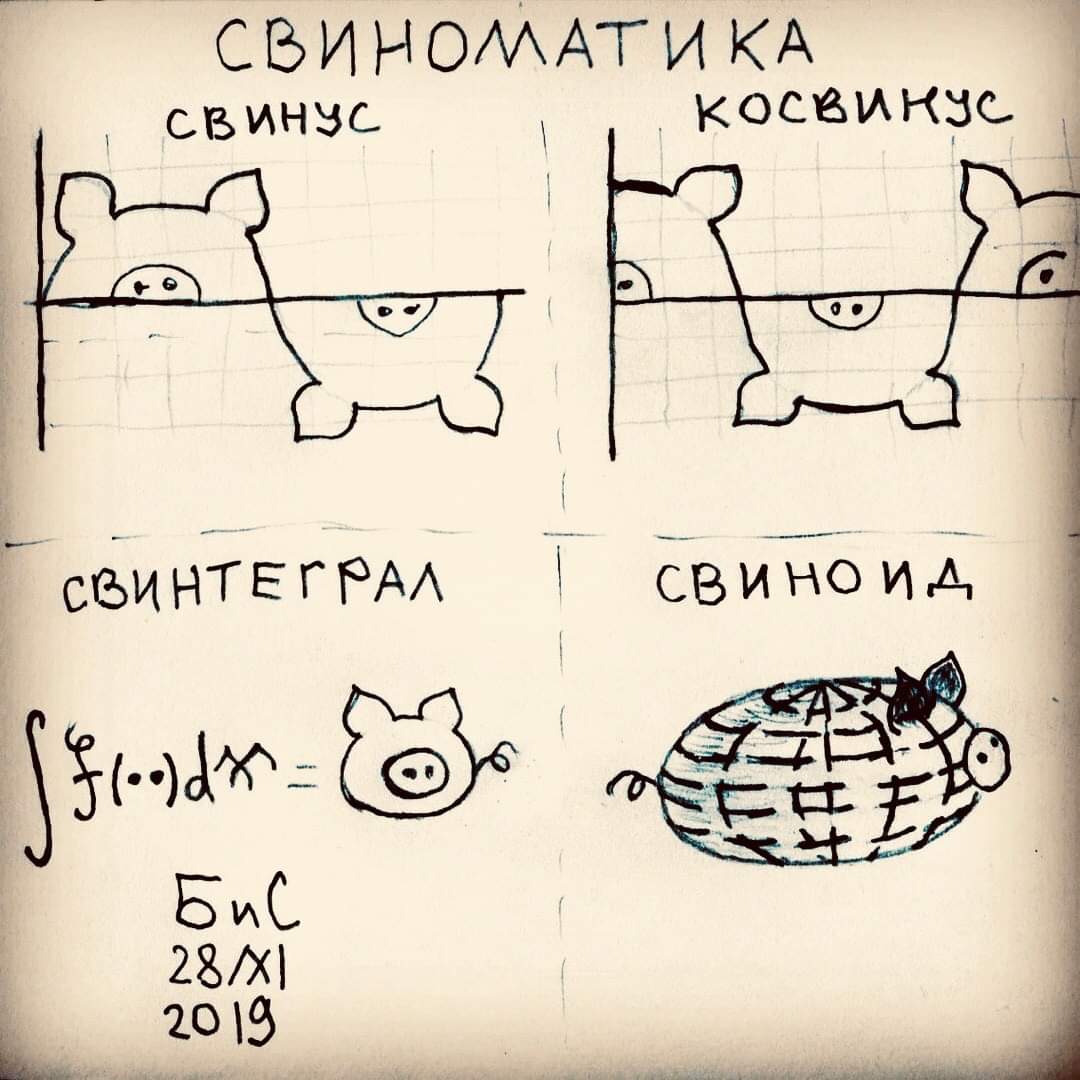 1080x1080, 89 Kb / свинья, свиноматика, математика, косинус, синус, график