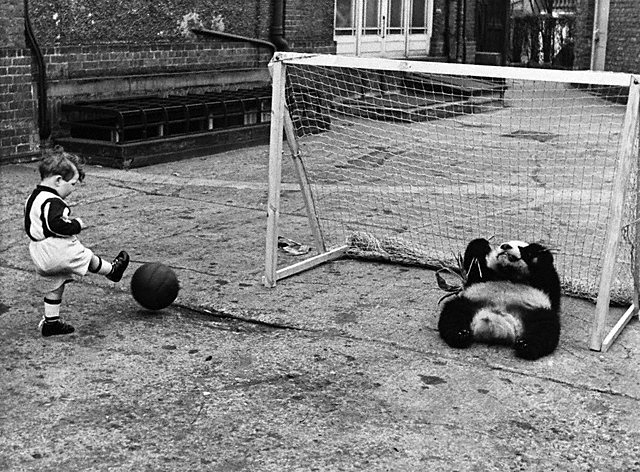 640x472, 145 Kb / панда, ребенок, футбол, ч/б