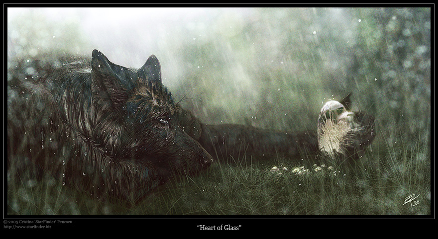 880x481, 236 Kb / heart glass