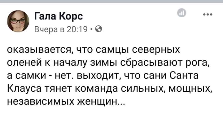 720x368, 24 Kb / олень, рога, самец, самка, санта-клаус