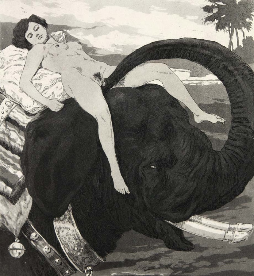 828x900, 314 Kb / слон, хобот, бивни, фаллосы, пальма, бубенчик