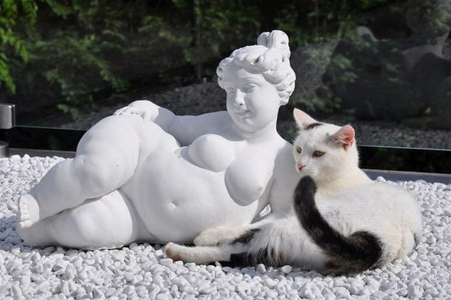 900x598, 85 Kb / камни, гравий, галька, белый, скульптура, толстая, лежит