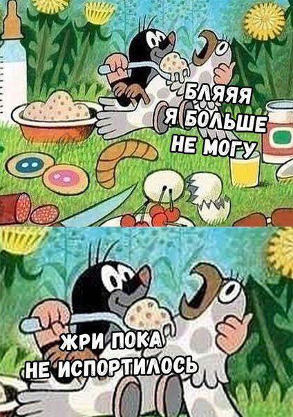 424x604, 73 Kb / салат, новый год, крот , попугай, ложка