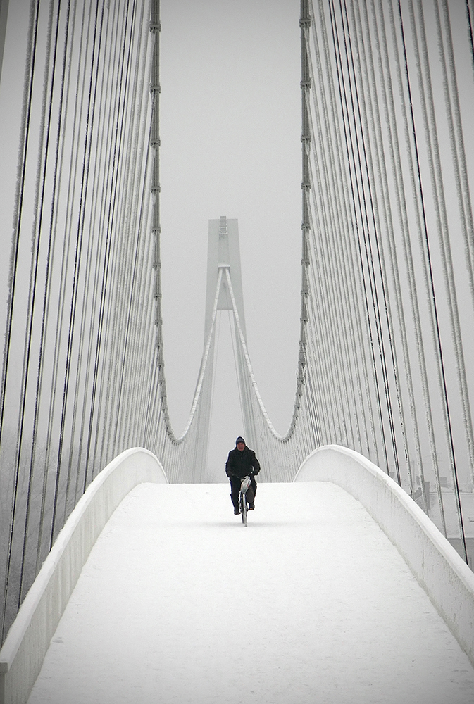 673x1000, 513 Kb / мост, снег, велосипед, мужик