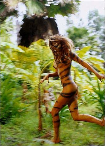 341x472, 36 Kb / амазонка, бодиарт, тигр