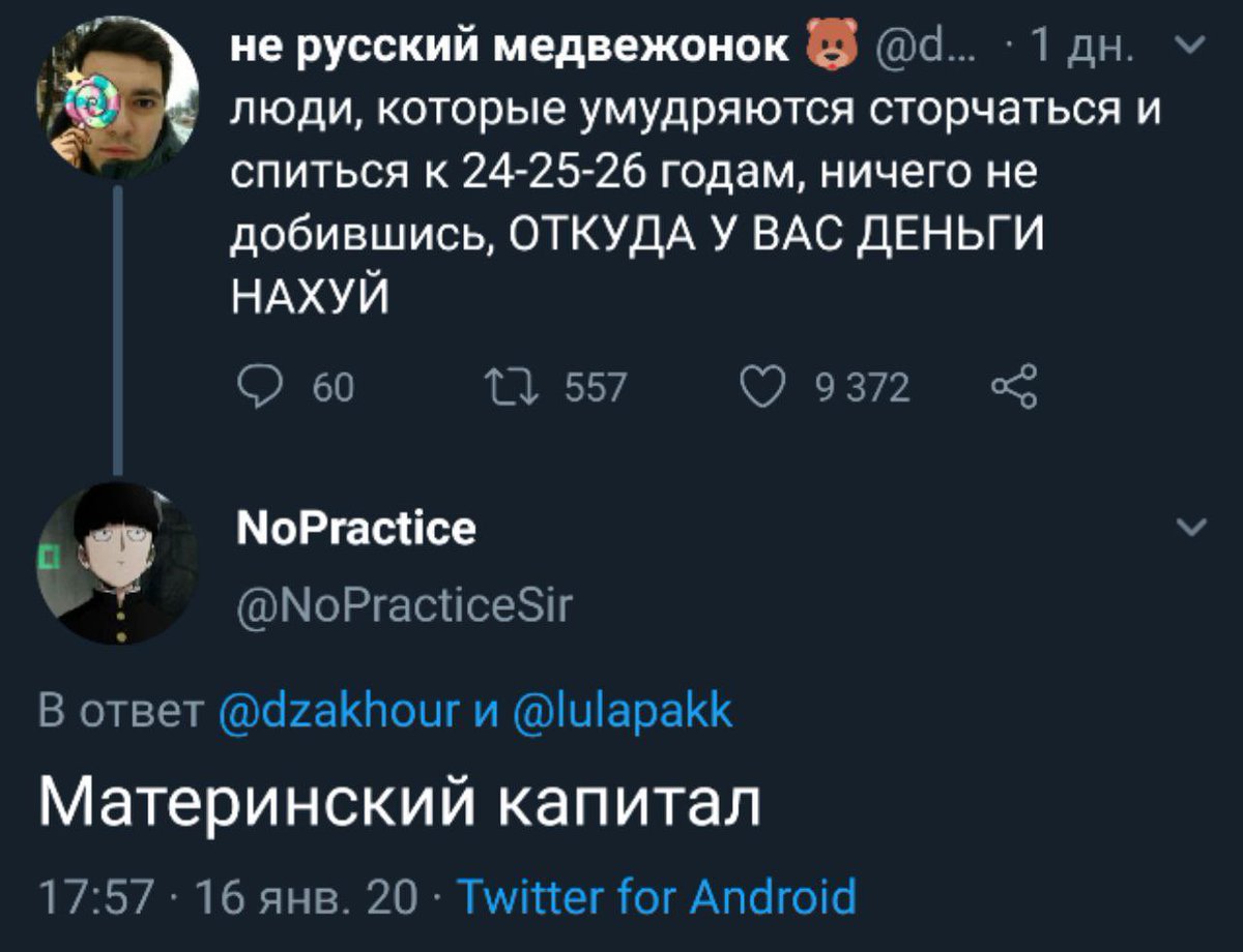 1200x920, 93 Kb / Материнский капитал, наркоманы