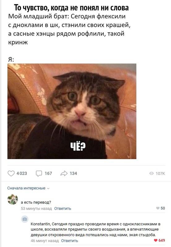 553x798, 53 Kb / перевод, брат, кот, че, англонизмы