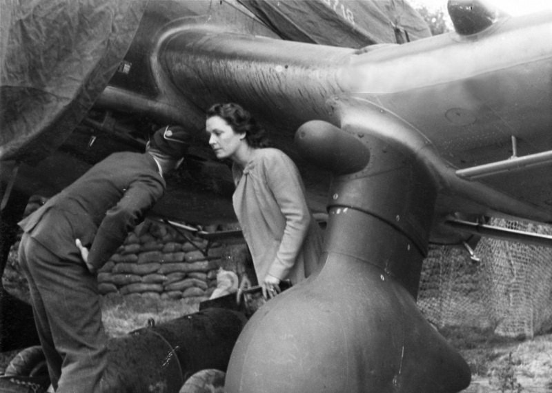 800x570, 91 Kb / бомбардировщик, Ольга Константиновна Чехова, осмотр, самолет, крыло