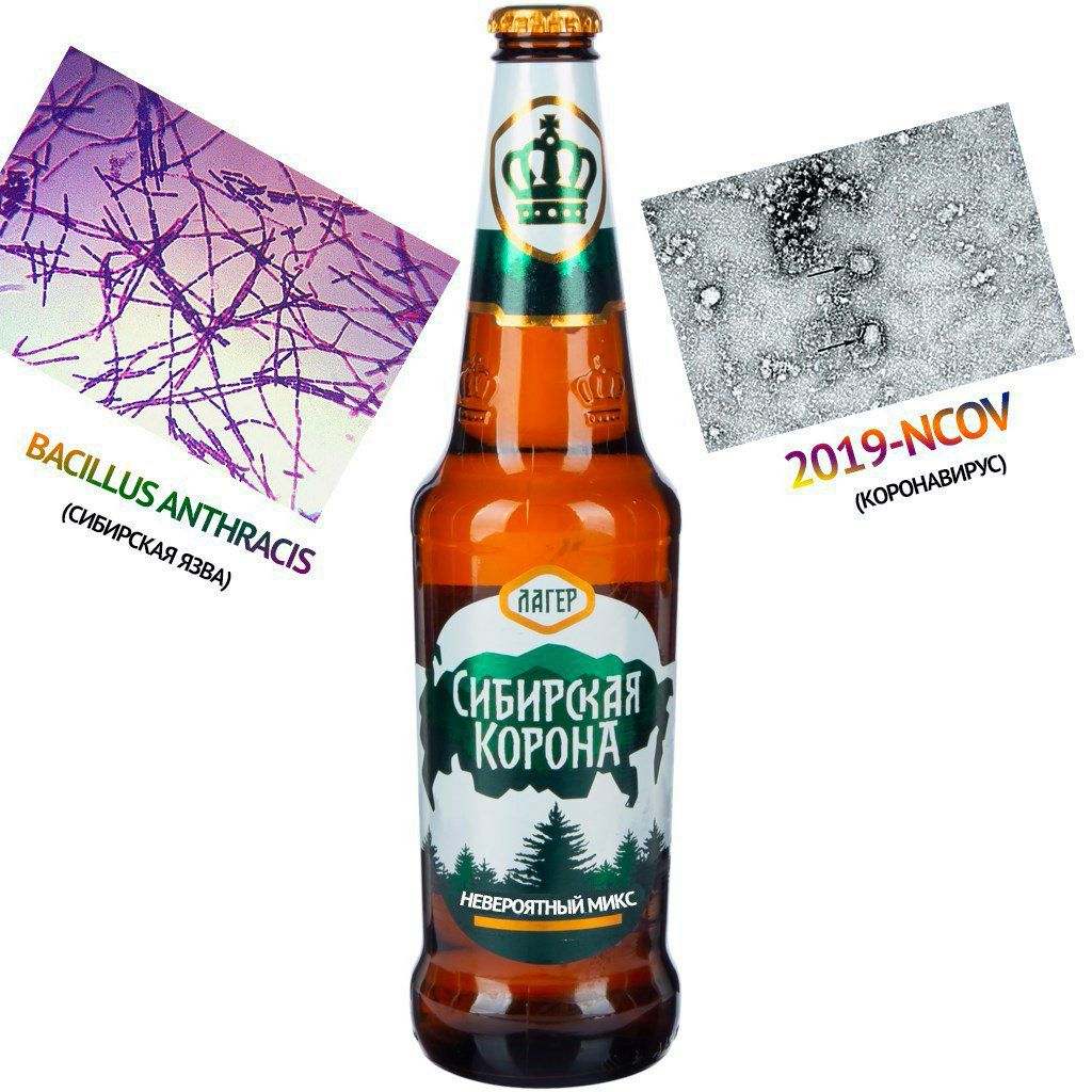 1024x1024, 177 Kb / Сибирская, корона, язва, коронавирус