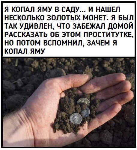 457x501, 59 Kb / яма, проститутка, монеты, клад