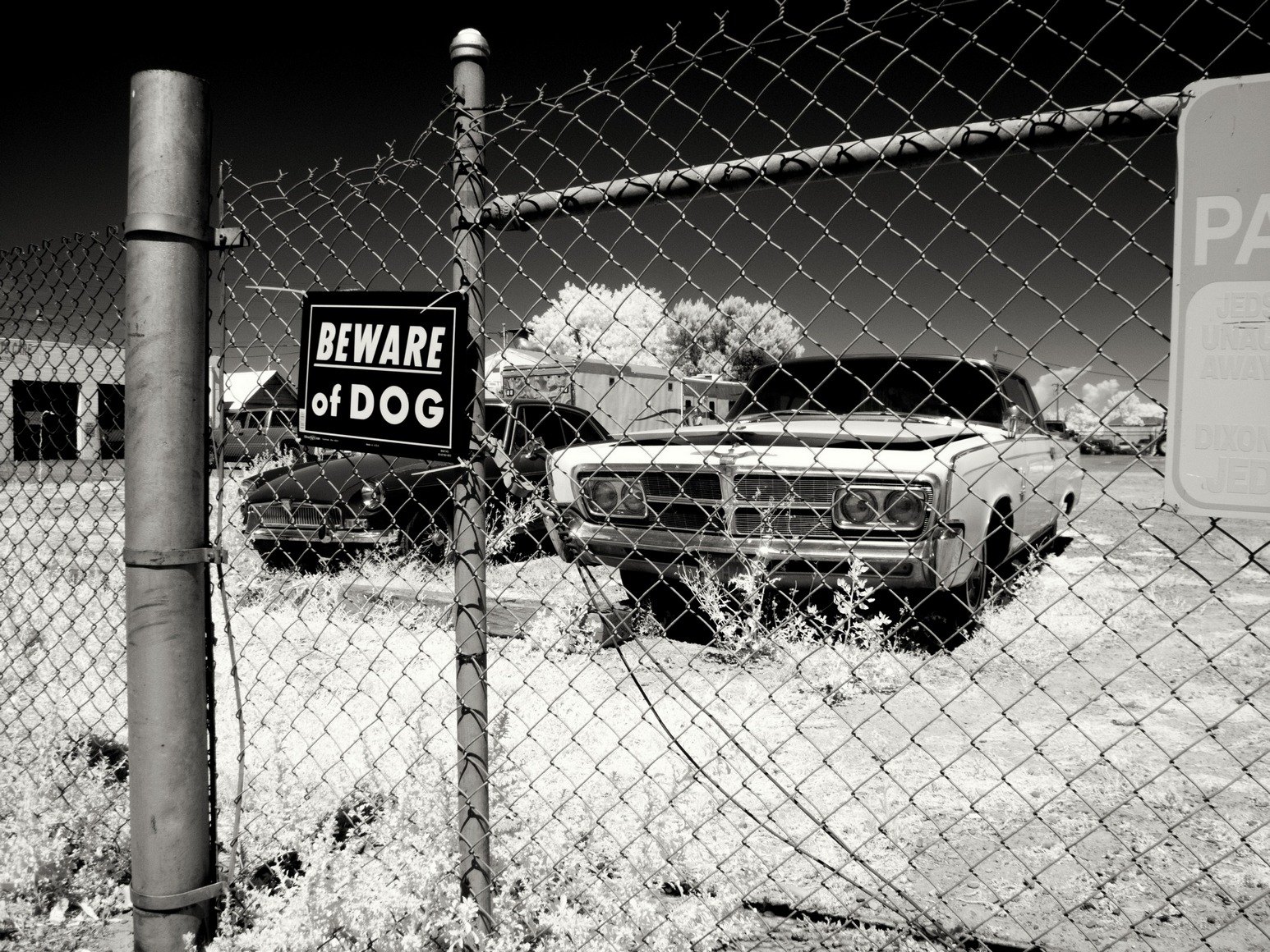 1546x1160, 607 Kb / автомобиль, классика, ретро, забор, ограждение, сетка, рабица, ч/б