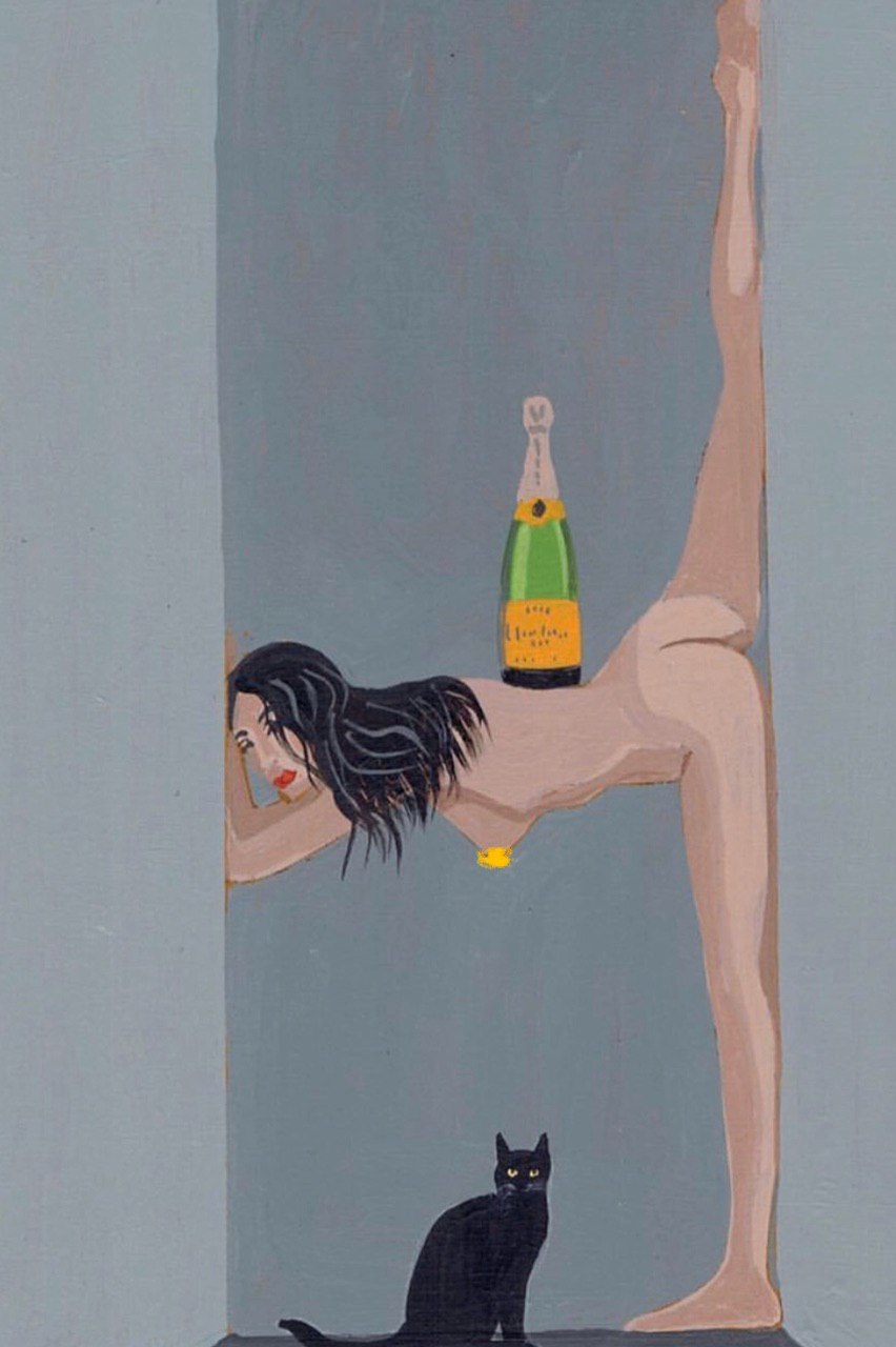 852x1280, 103 Kb / Шпагат, бутылка, шампанское, кот