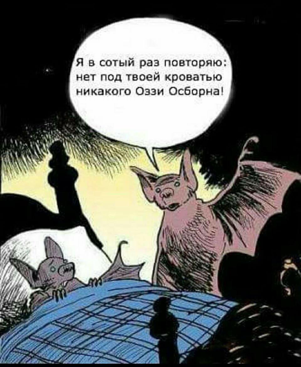 960x1169, 129 Kb / Летучая мышь, кровать, оззи, ozzy