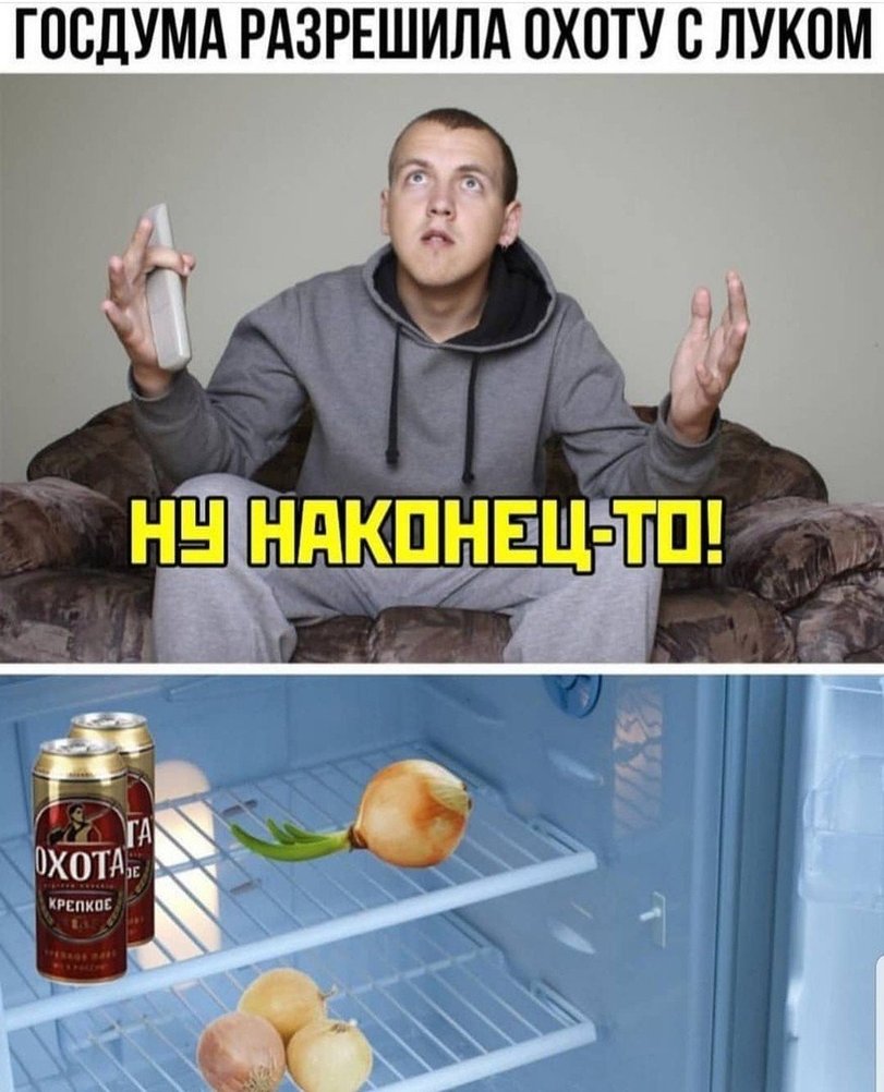 811x1002, 129 Kb / лук, охота, холодильник, диван, госдума