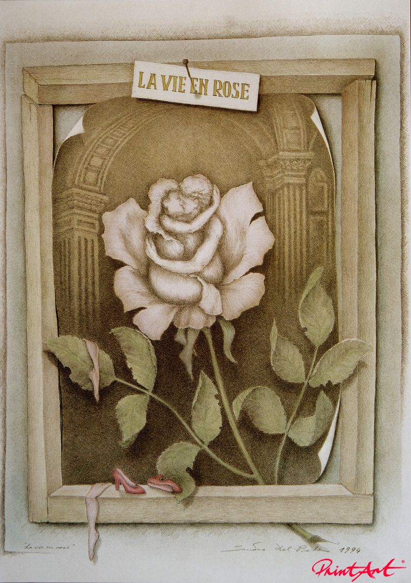 810x1147, 218 Kb / роза, рисунок, иллюзия, поцелуй