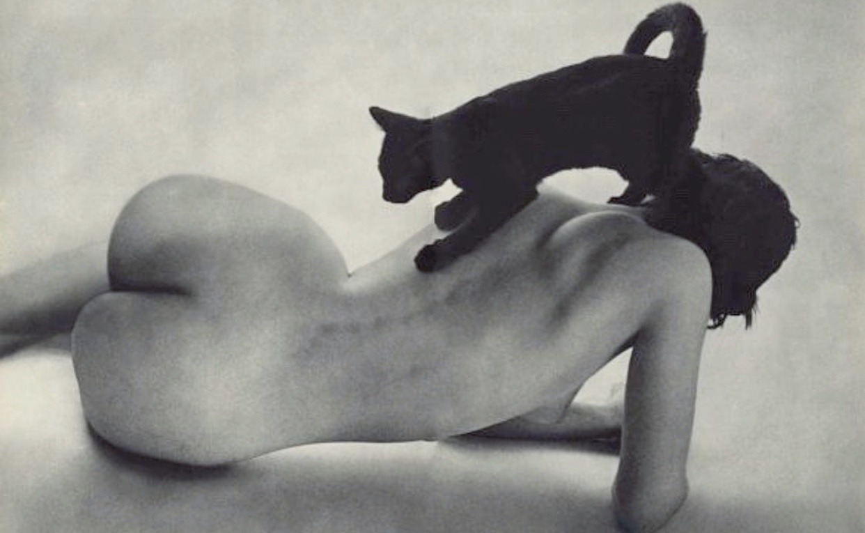 1242x765, 122 Kb / женщина, черная, кошка, ч/б