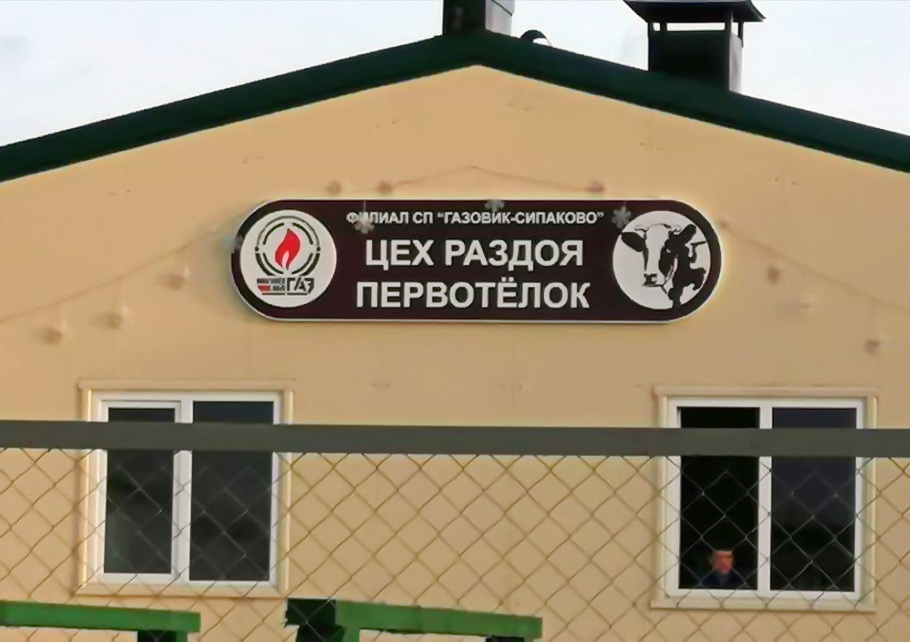 910x642, 130 Kb / цех, раздой, первотёлка