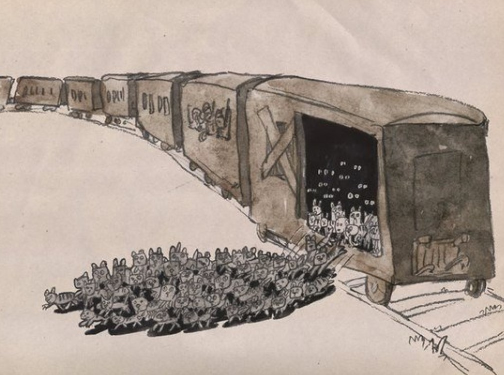 1007x750, 144 Kb / Поезд, вагон, кошки