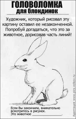 300x470, 27 Kb / головоломка, заяц, блондинка