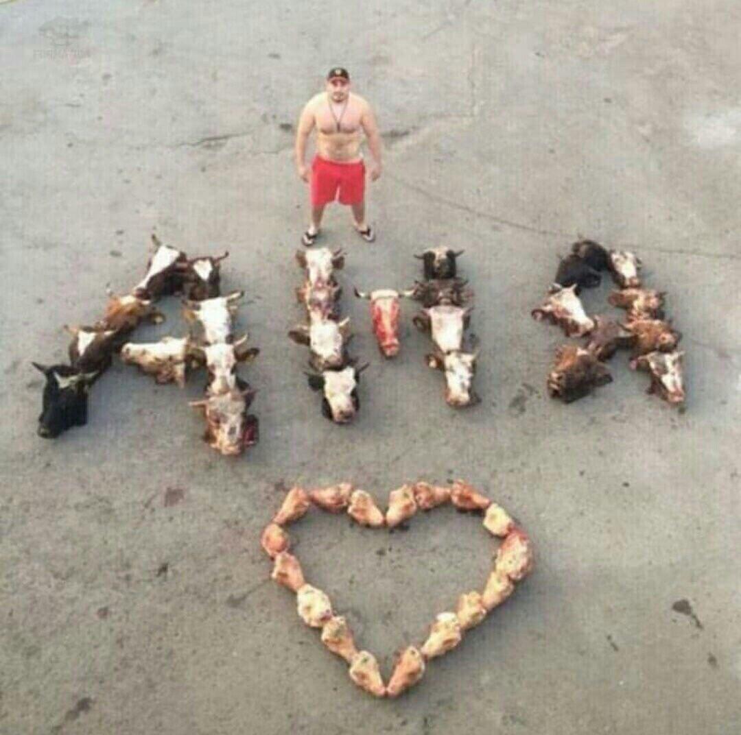 1080x1072, 101 Kb / сердечко, валентинка, аня, голова, корова