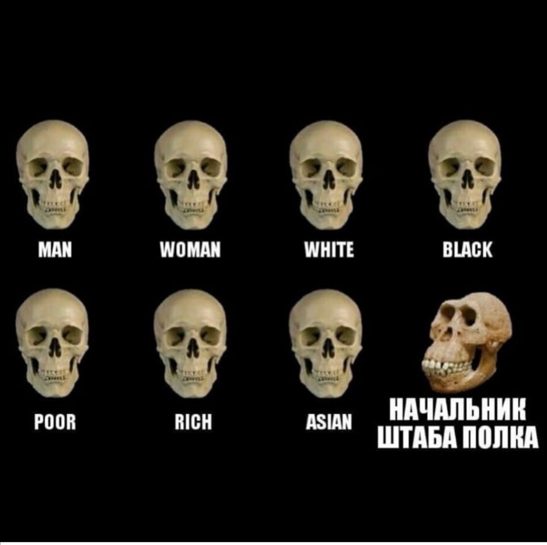 1080x1077, 133 Kb / череп, начальник