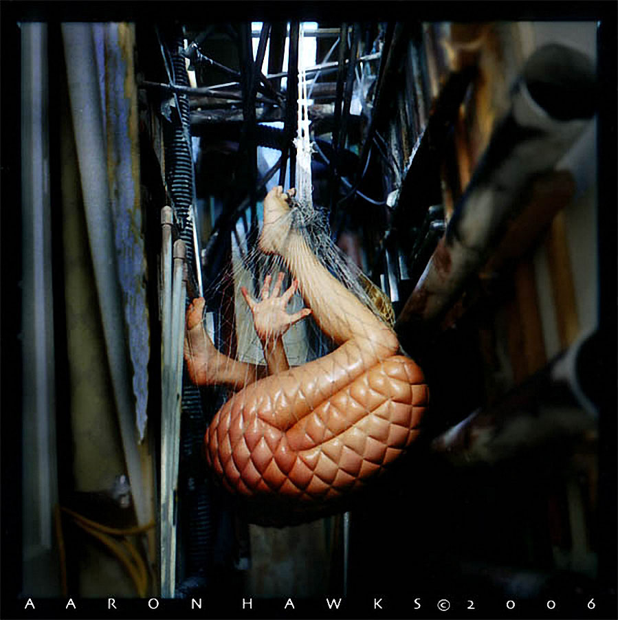 899x902, 147 Kb / девка, сетка, колбаса