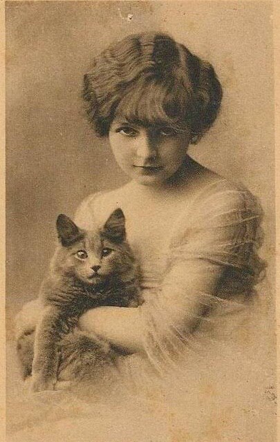 405x640, 67 Kb / Фото, сепия, девушка, кот, кошка