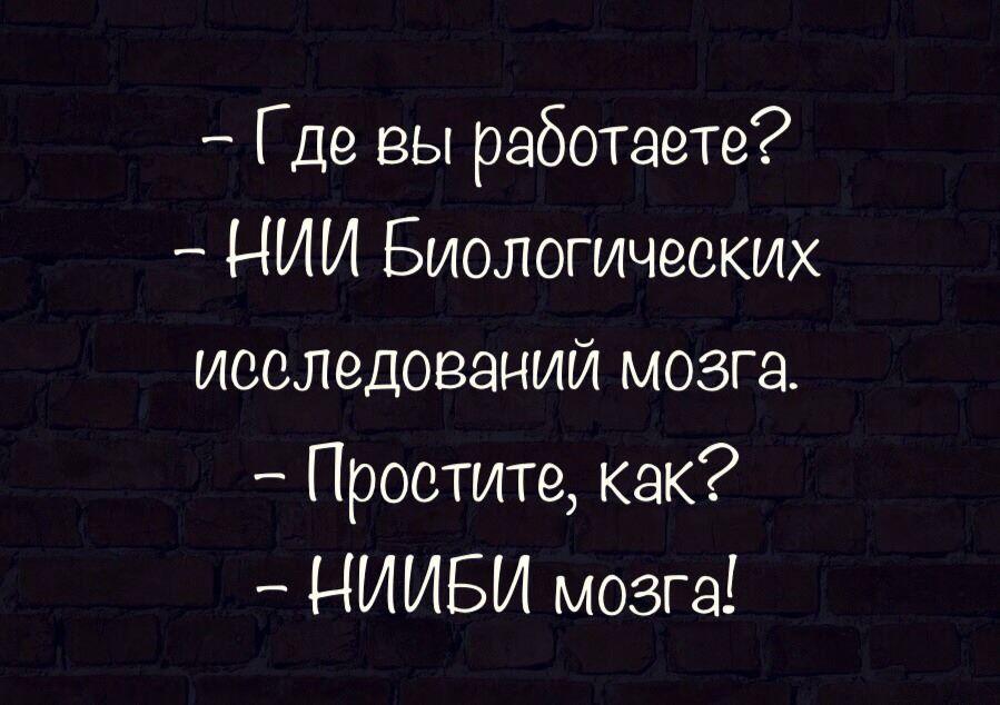 899x634, 71 Kb / работа, нииби, мозг