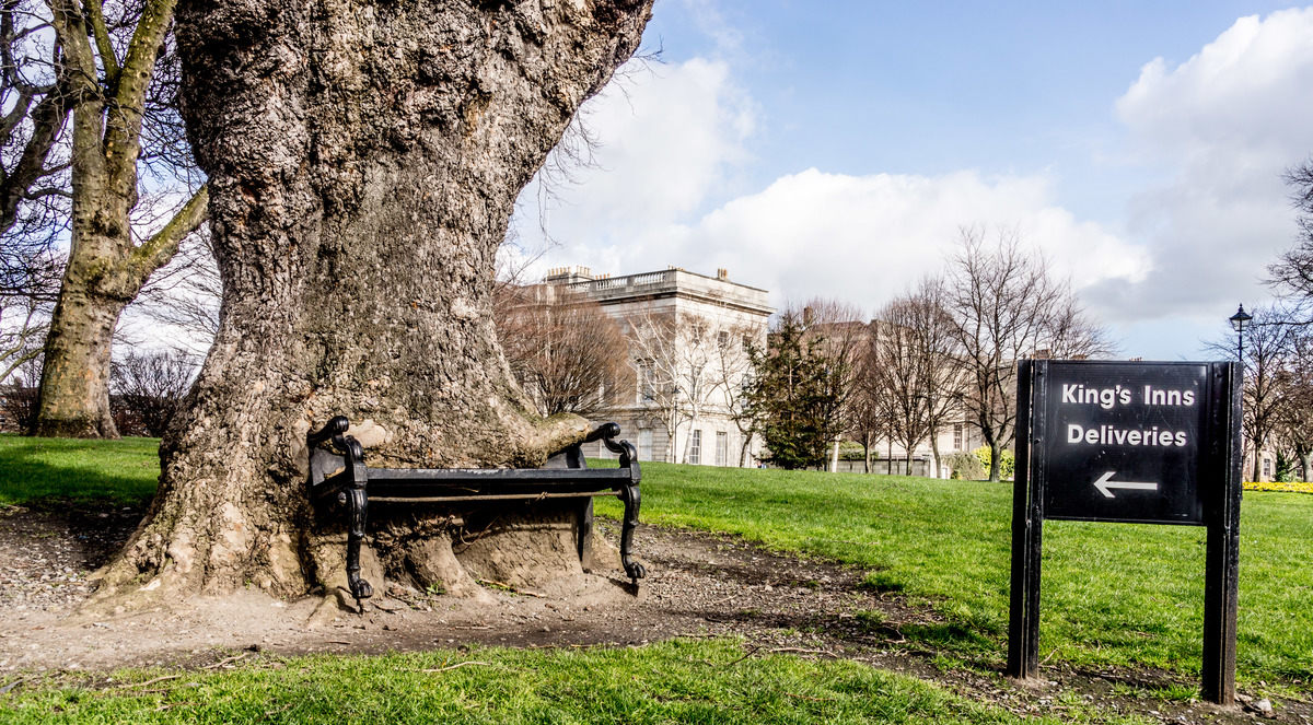 1200x663, 295 Kb / дерево, скамейка, Ирландия, Дублин, платан