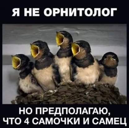 416x411, 19 Kb / Птицы, клюв, гнездо