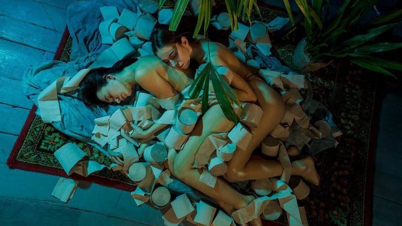 800x450, 54 Kb / доски, ковёр, тряпка, простыть, бумага, рулон, две, горшок, пальма, цветы