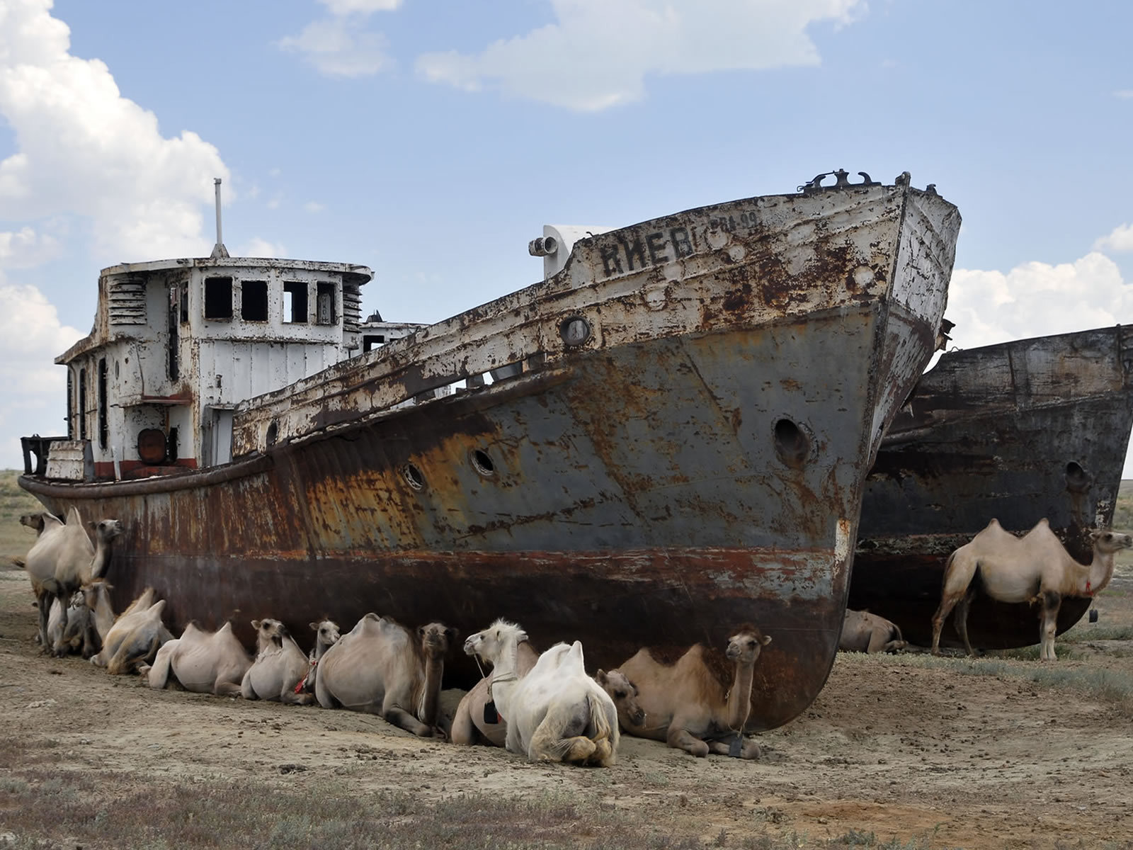 1600x1200, 440 Kb / верблюды, киев, тень, ржавчина, катер, корабль