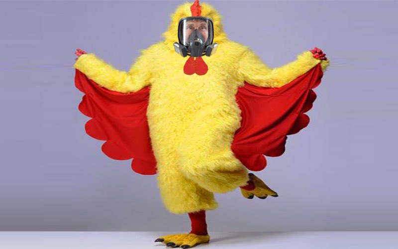 800x500, 36 Kb / путин, петух, костюм, политота