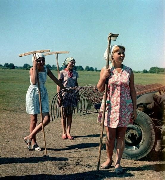 555x604, 90 Kb / грабли, сенокос, рязань, ретро, сельчанки