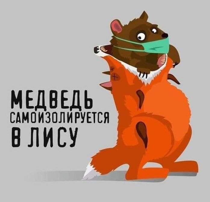 697x670, 43 Kb / медведь, лиса, самоизоляция
