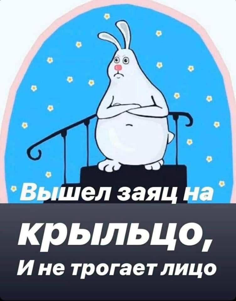 752x960, 55 Kb / Заяц, крыльцо, лицо