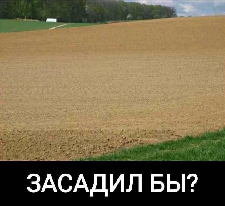 720x660, 71 Kb / поле, засадил