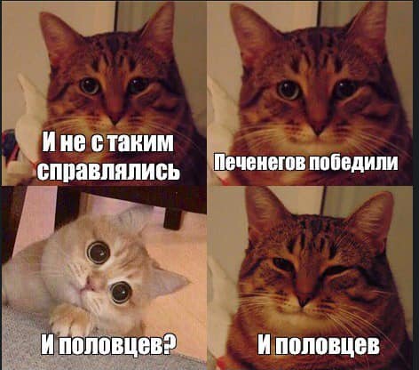 472x416, 29 Kb / Котики,мем,Путин