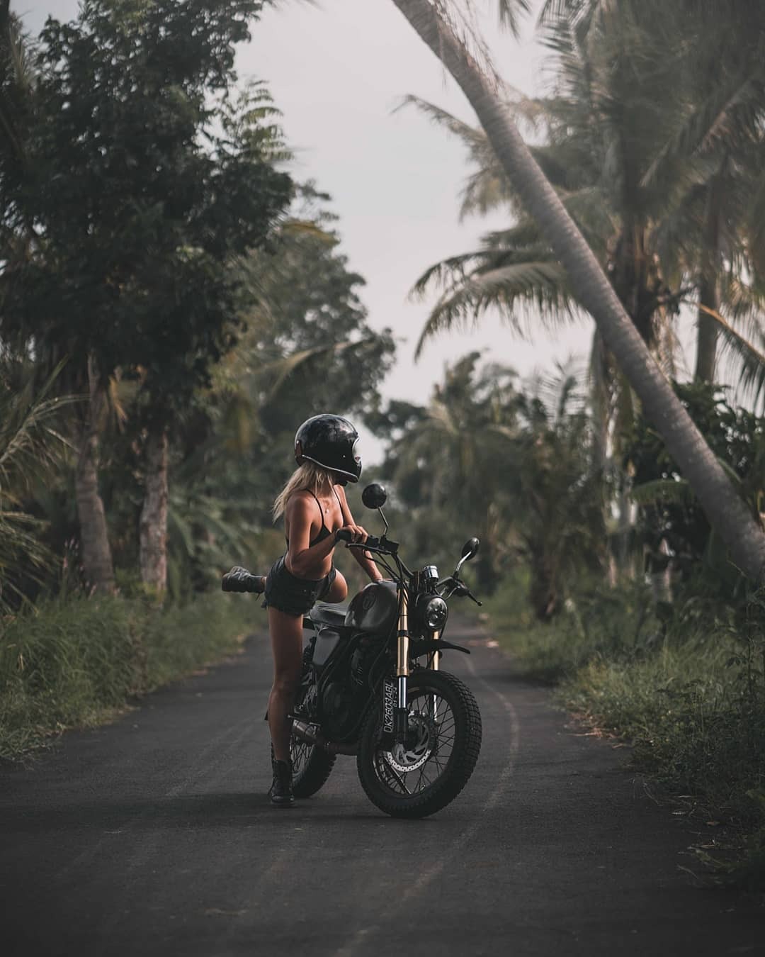 1080x1350, 137 Kb / мотоцикл, шлем, пальмы