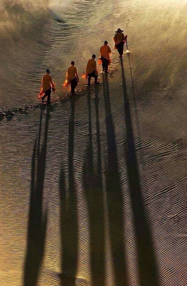 784x1200, 250 Kb / песок, пустыня, монахи, тень