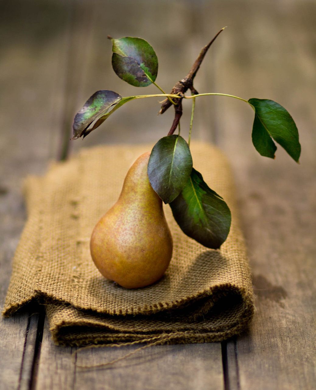 1038x1280, 141 Kb / груша, мешковина, вагонка, сюжет