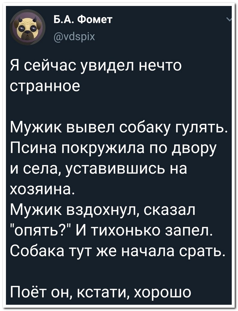 800x1045, 130 Kb / Собака, срать, гулять, петь, мужик