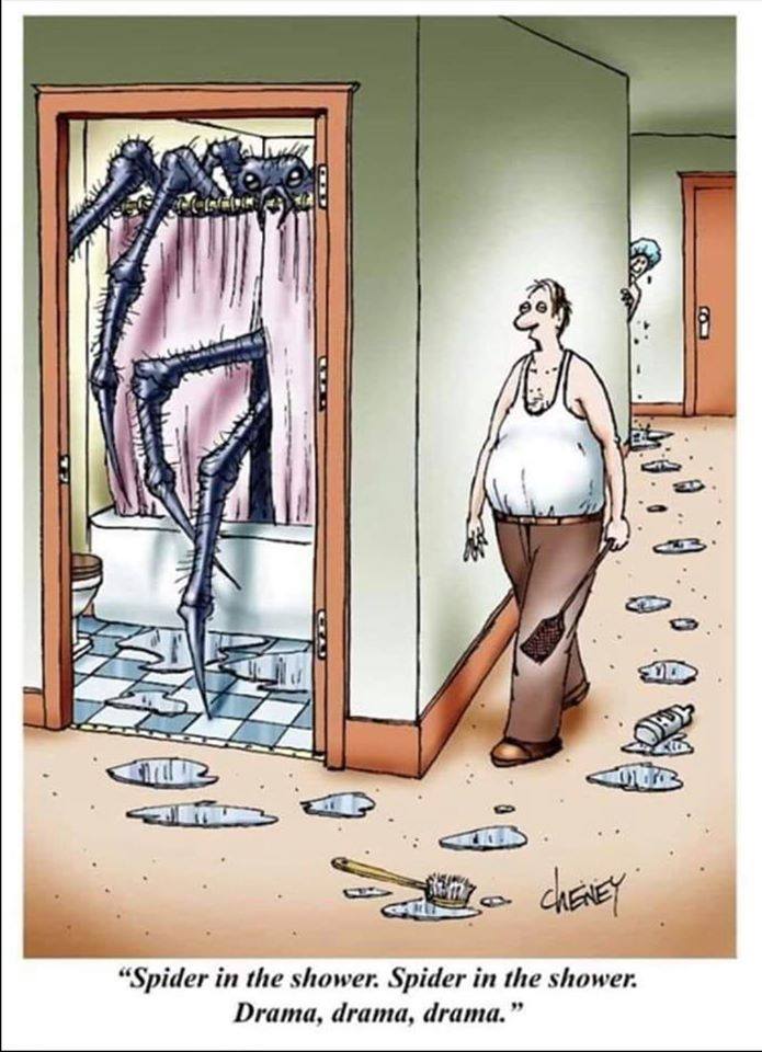 695x960, 88 Kb / паук, душ, испуг, страх, муж, мухобойка