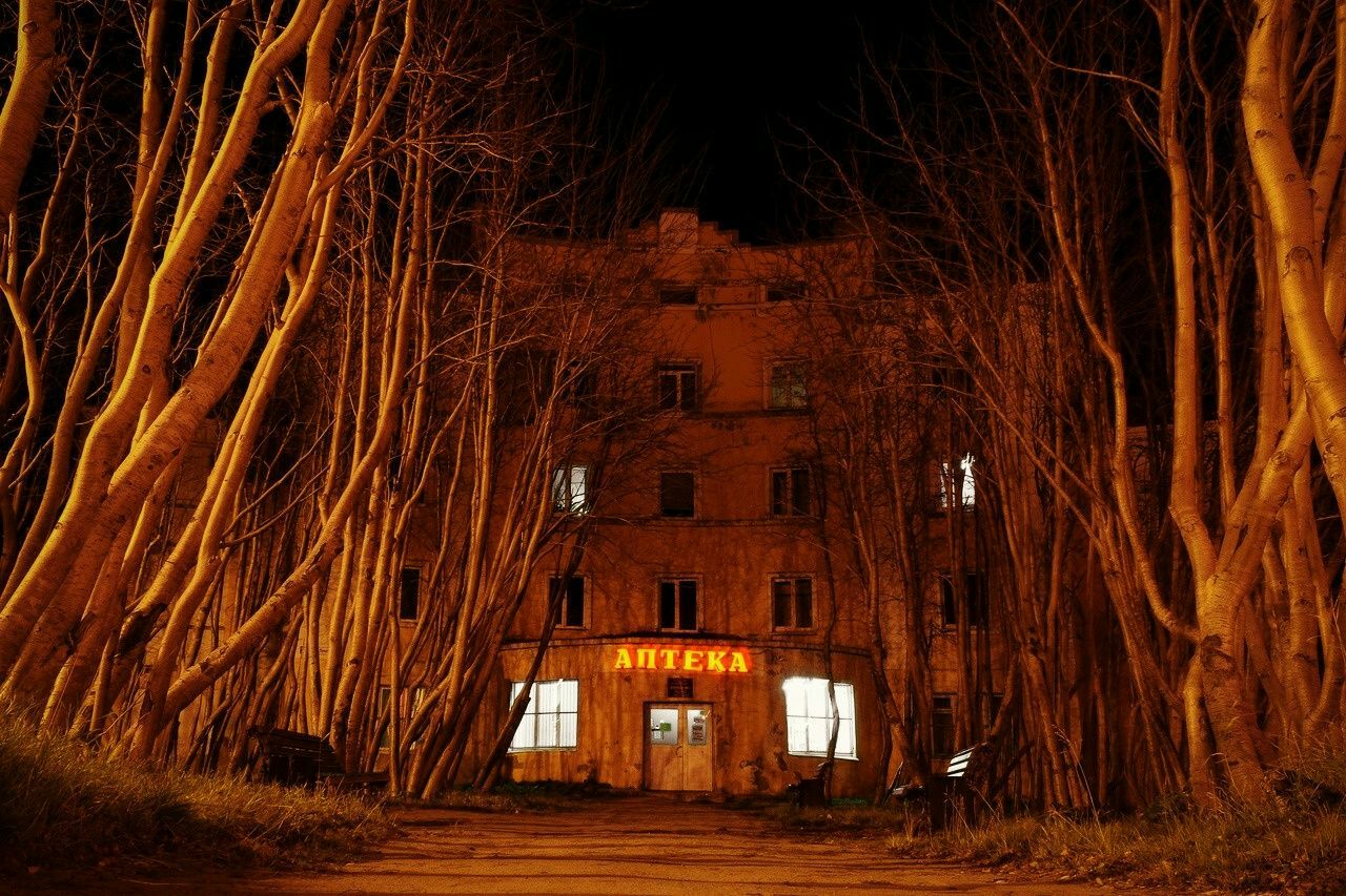 1280x853, 280 Kb / аптека, деревья, ночь